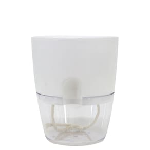 Cachepot Acqua Autoirrigável 15 Cm Cor 06 - Branco Sólido