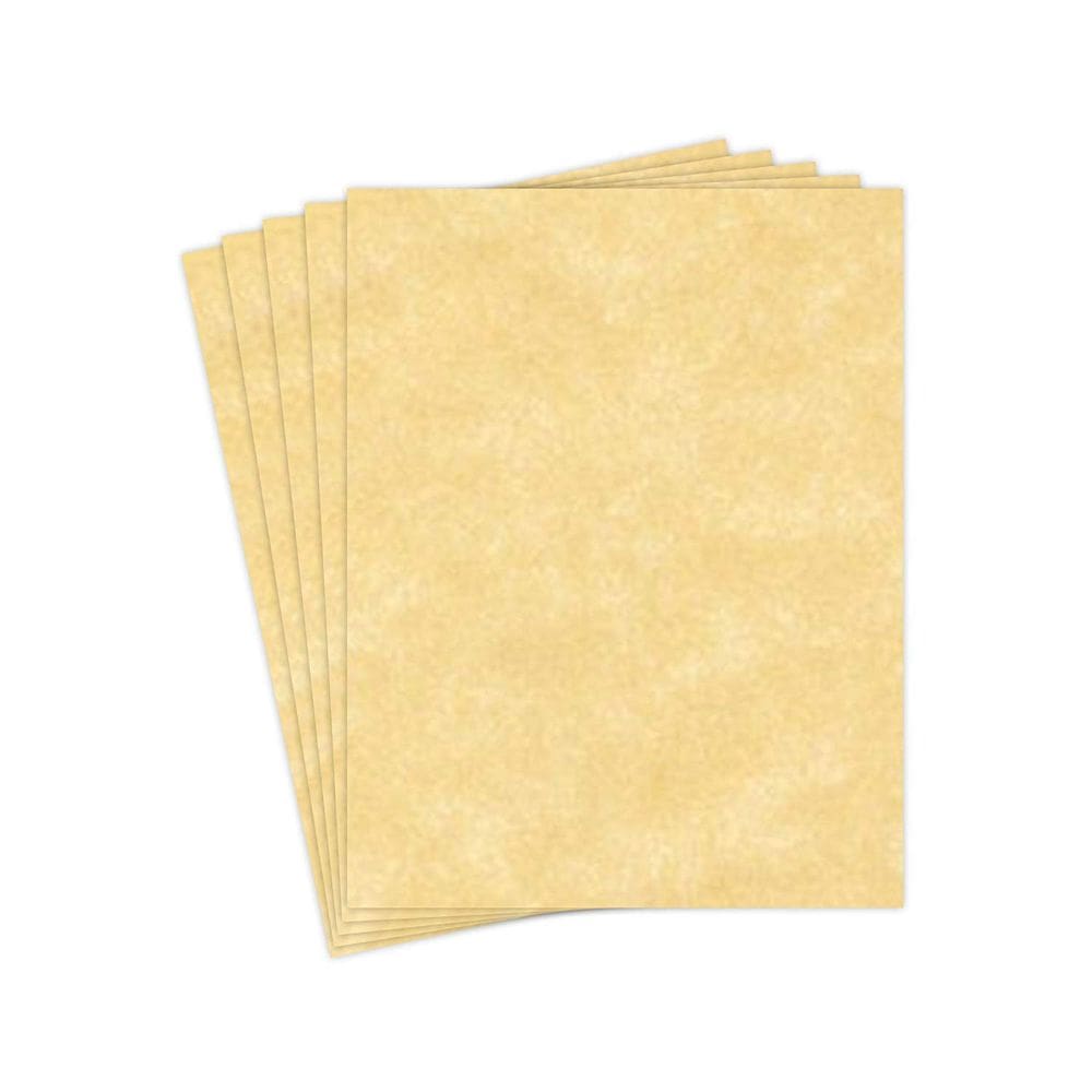 Papel de pergaminho de papelaria S Superfine Printing Champagne