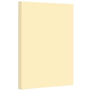 Papel cartolina S Impressão superfina 9x12" 67 lb (marfim) 50 folhas