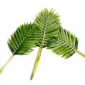 Planta Artificial Palmeira Areca Real Toque X15 Verde 114 Cm F04 - D`rossi