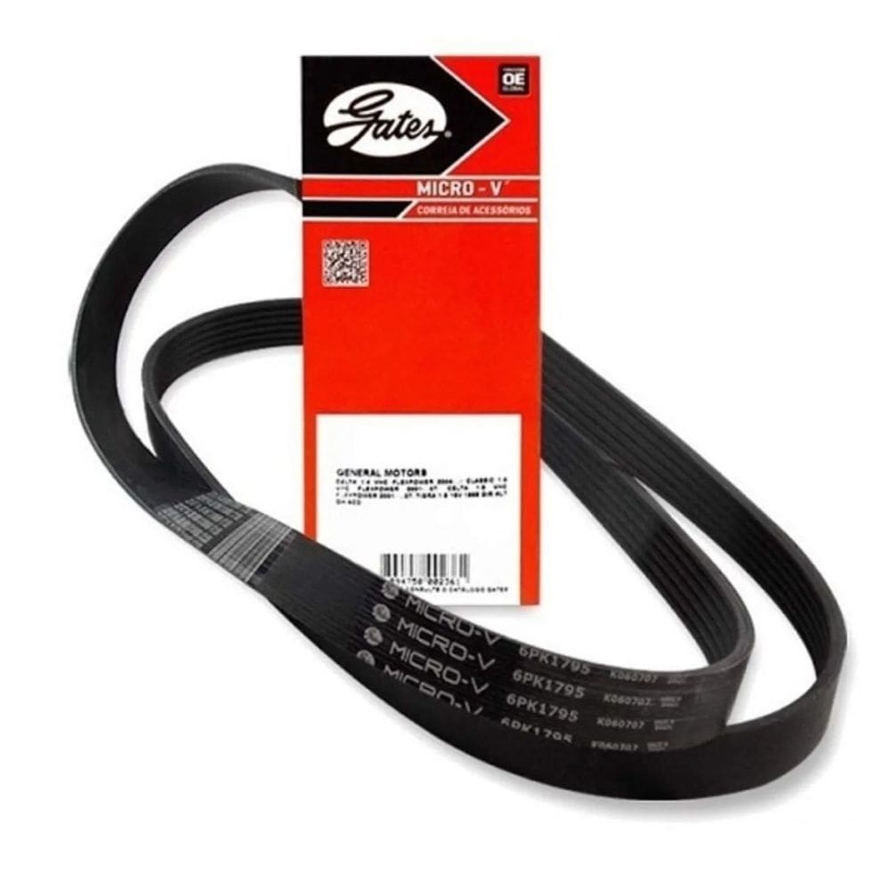 6Pk2187 - Correia Gir Alt / Ba / Dh - Focus 2.0 05 / 10 - Gates