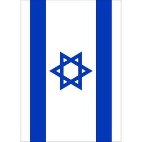 Bandeira Toland Home Garden Bandeira de Israel 71x102cm Poliéster
