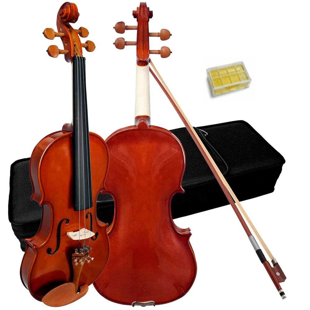 Violino Giannini 4/4 Natural Brilhante C/ Case E Arco Gvl