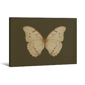 Arte de parede em tela Vintage White Butterfly Dark Moody 20x25cm