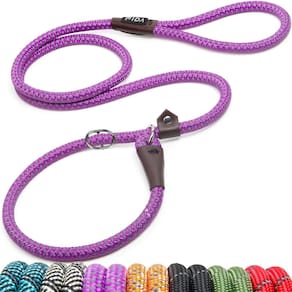 Coleira Slip Lead Dog Loop Fida Durable 1,8 m x 1,3 cm roxa