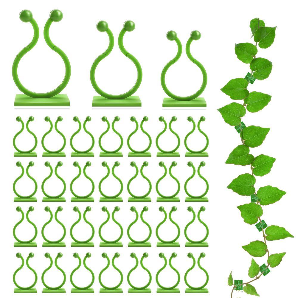 Clipes de parede para plantas EWPJDK para plantas trepadeiras 180 unidades (verdes)