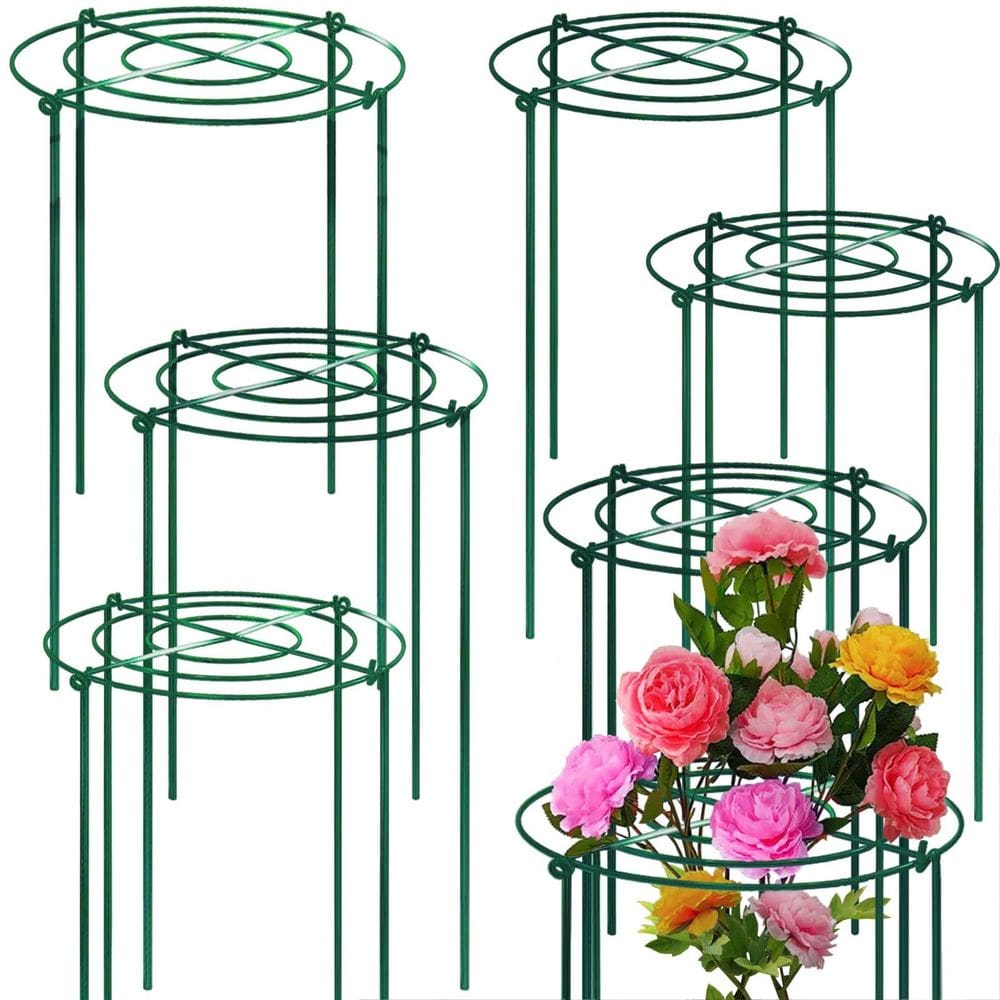 Gaiola de suporte de peônia TCBWFY 8 conjuntos de 30 cm de diâmetro x 60 cm de altura, metal verde