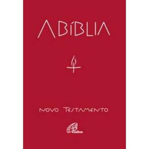 a Bíblia - Novo Testamento (Bolso) - Edição Sem Notas Explicativas De Rodapé