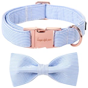 Coleira macia e confortável para animais de estimação, coleira para cães e coleira para gatos, estilo exclusivo, patas