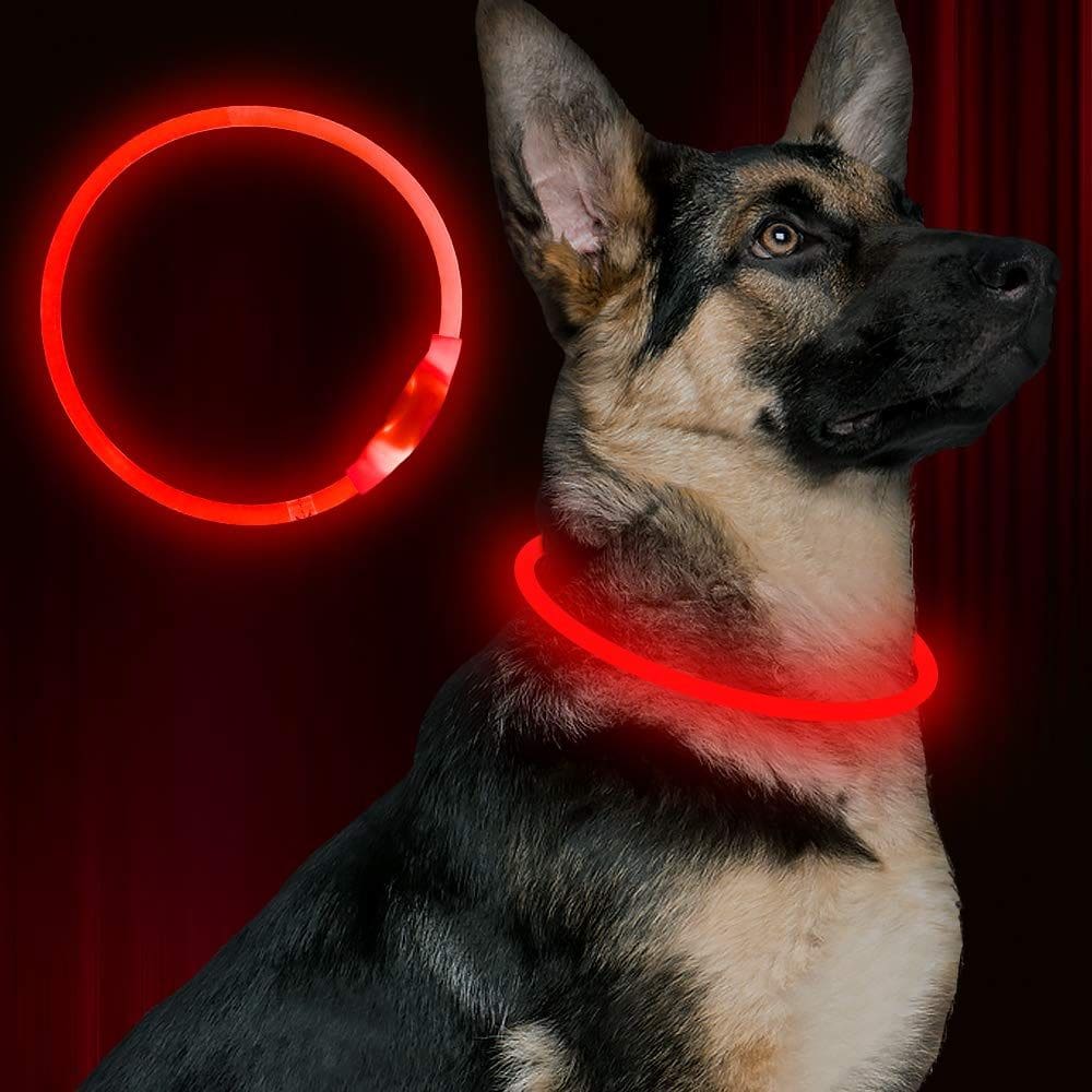 Coleira LED para cães BSEEN USB Recarregável Flash Pet Safety Red