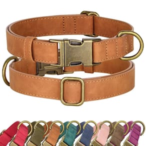 Coleira para cães Didog Soft Leather Durable com liberação rápida S