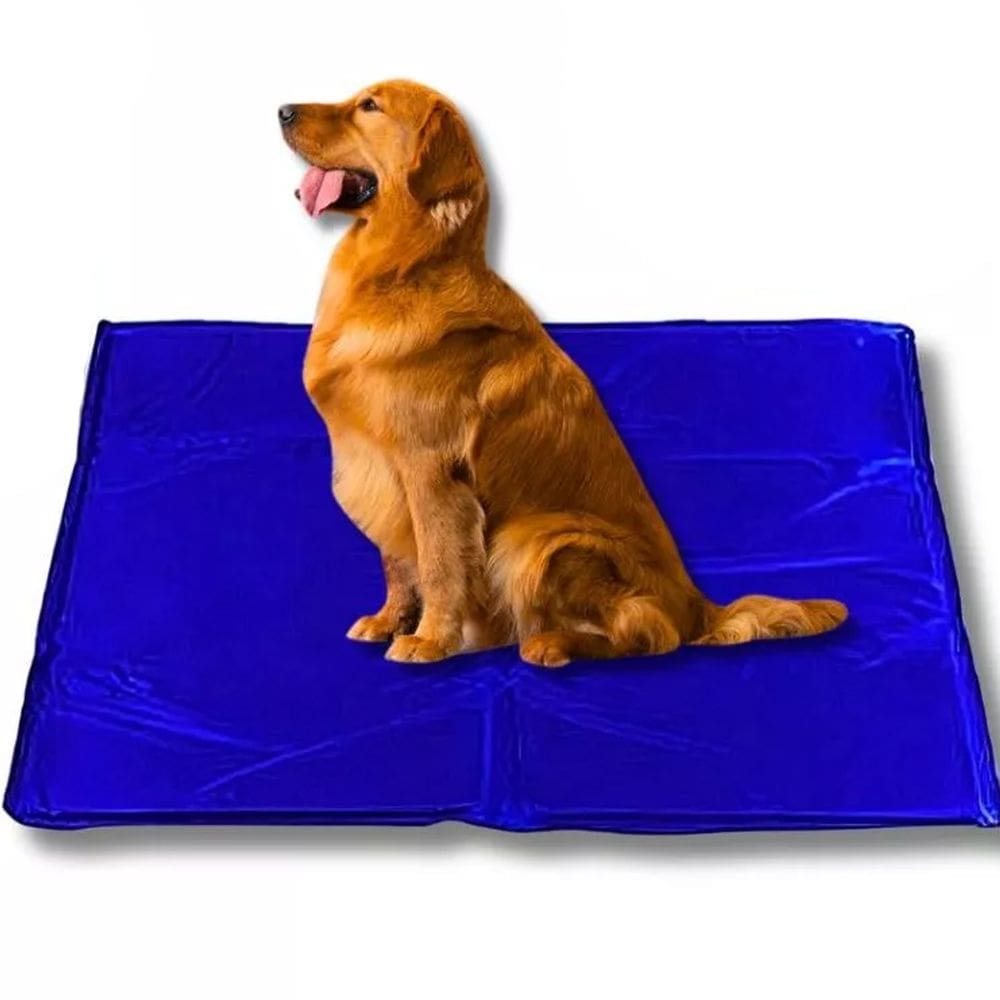 Tapete Gelado Cao Cachorro Gato Pet Animais Estimaçao Piscina Praia Sol