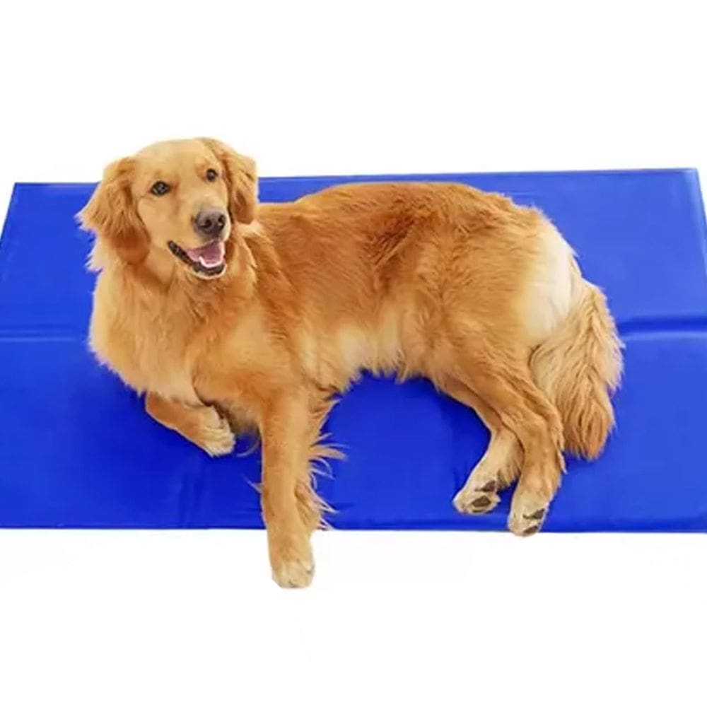 Tapete Gelado Cachorro Gato Cao Pet Animais Estimaçao Colchonete Refrescante Verao Sol Dias Quente