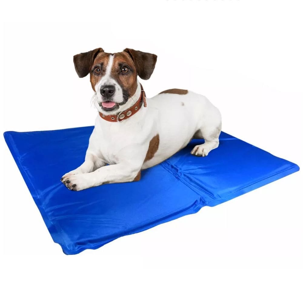 Tapete Gelado Cao Gato Pet Cachorro Verao Sol Colchonete Resfrescante