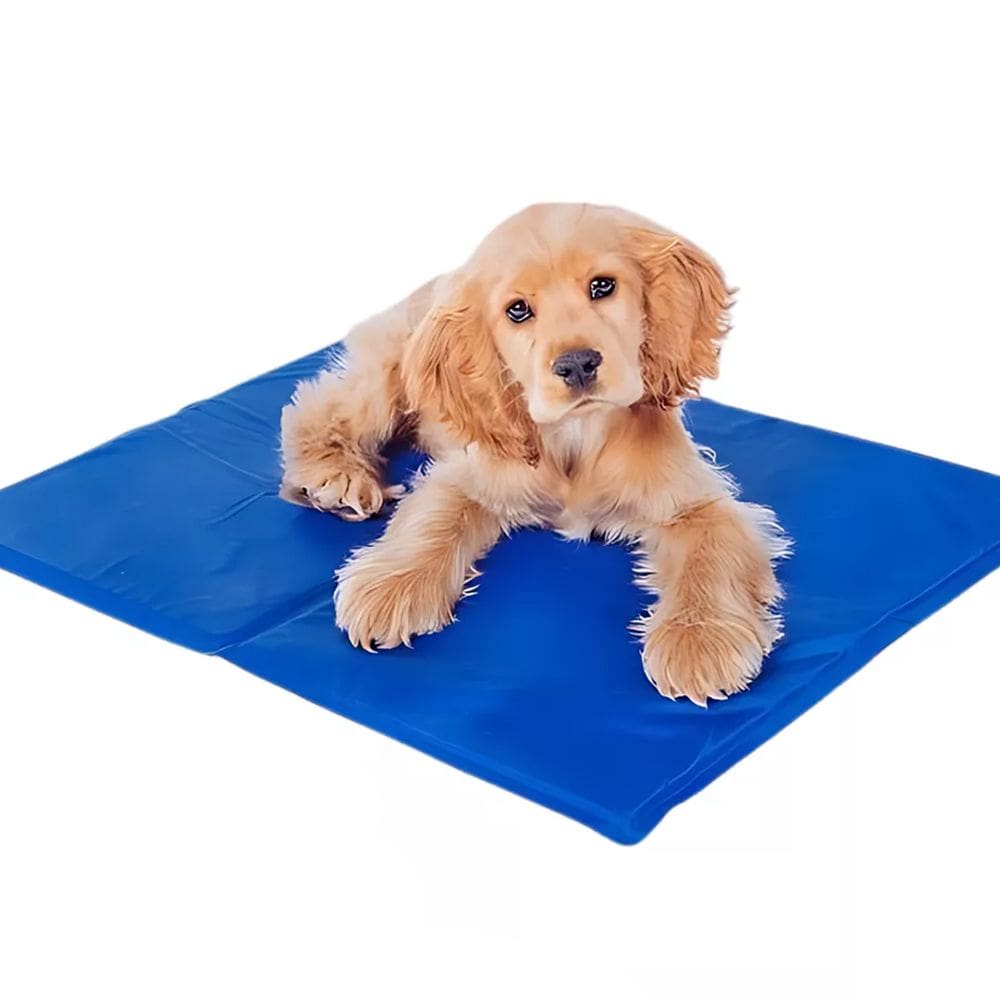 Tapete Gelado Pet Cao Cachorro Gato Colchonete Refrescante Sol Verao