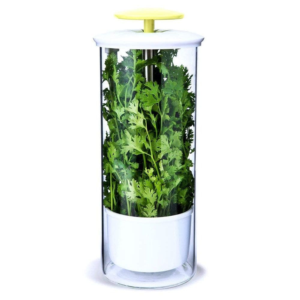 Recipiente de armazenamento de vidro Herb Keeper NOVART XXL 4,7 L