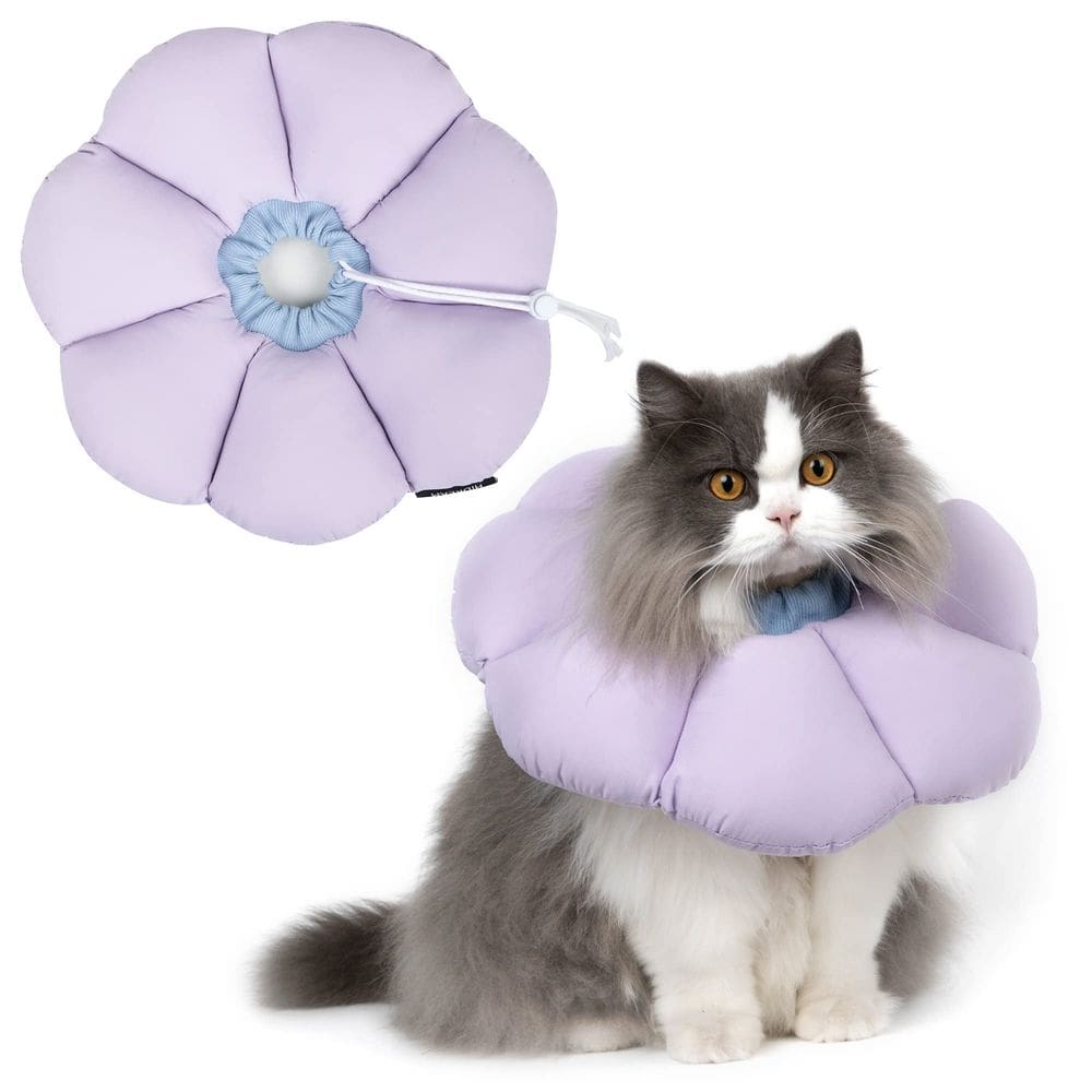 Coleira Cat Cone H HIDREAM Waterproof Recovery Purple S