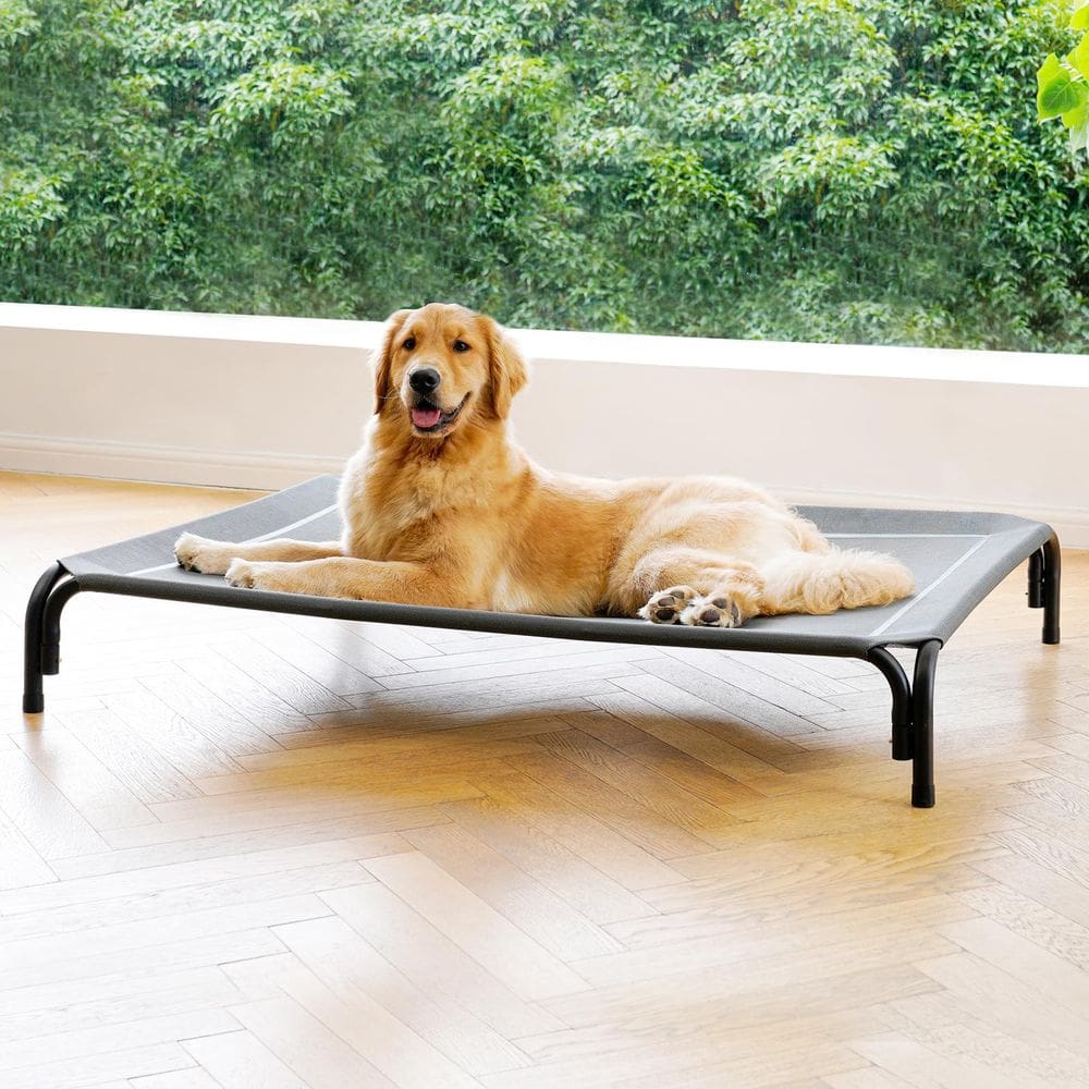 Cama elevada para cães DOPEDIO para cães extra grandes, cinza