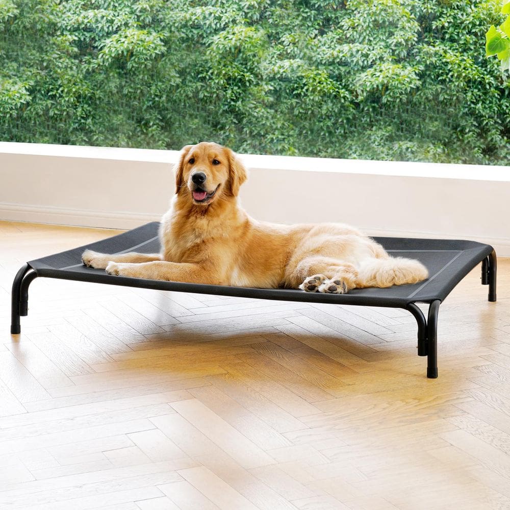 Cama elevada para cães DOPEDIO para cães extra grandes preta