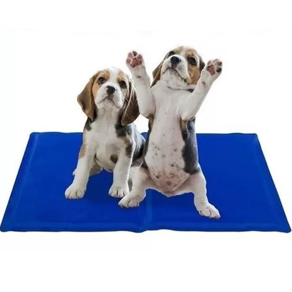 Tapete Gelado Gato Cachorro Cao Pet Verao Refrescante Confortavel Macio Calor Sol Dia Quente