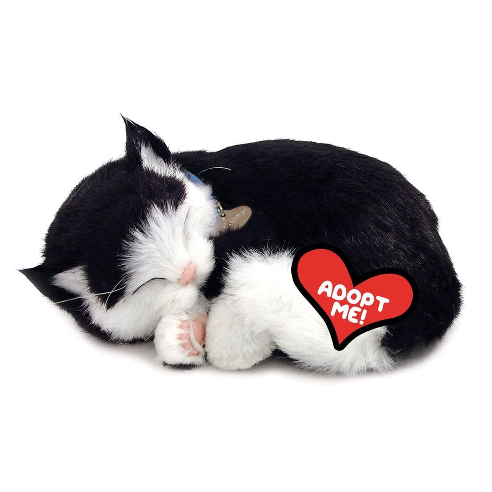 Brinquedo interativo de pelúcia para animais de estimação 88 Unlimited autêntico Petzzz