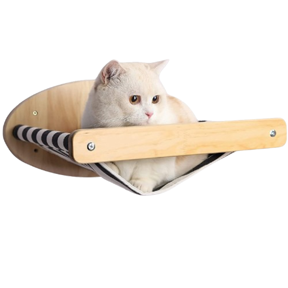 Cama de parede para gatos , prateleiras para dormir ,brincar e descansar