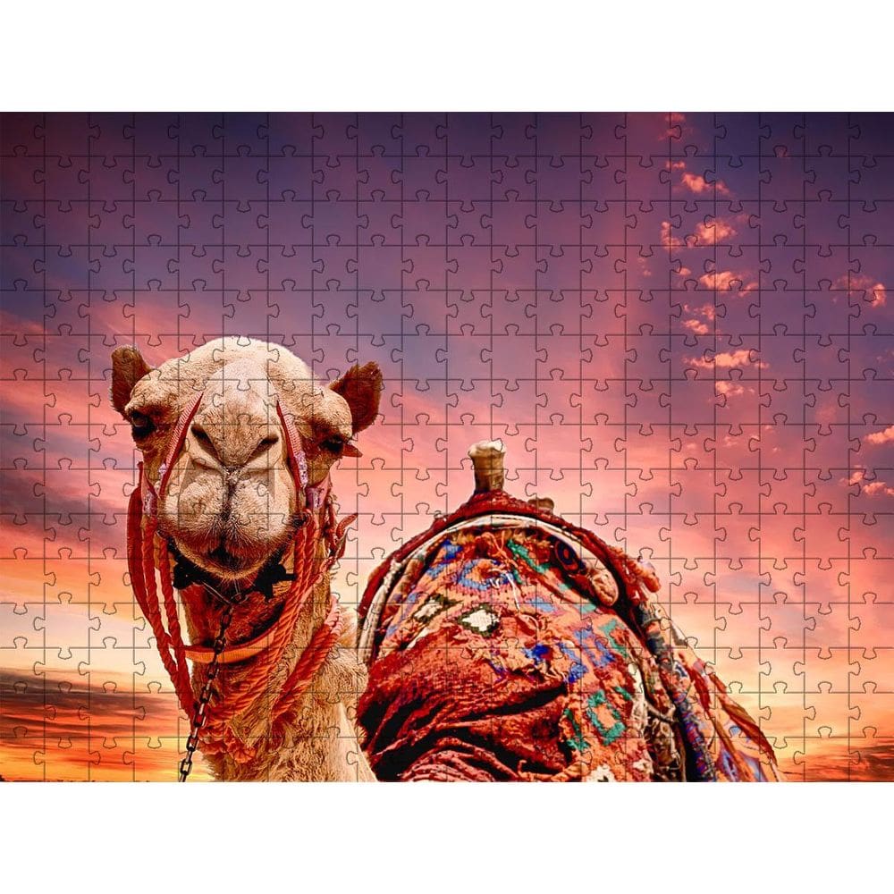 Quebra-Cabeças Camelo Do Deserto 60 Peças Educativo E