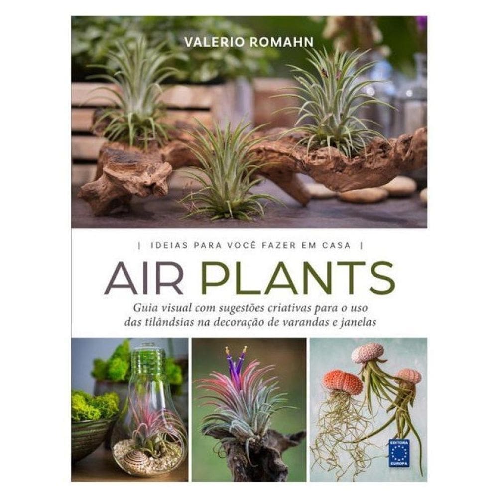 Air Plants: Ideias Para Você Fazer Em Casa