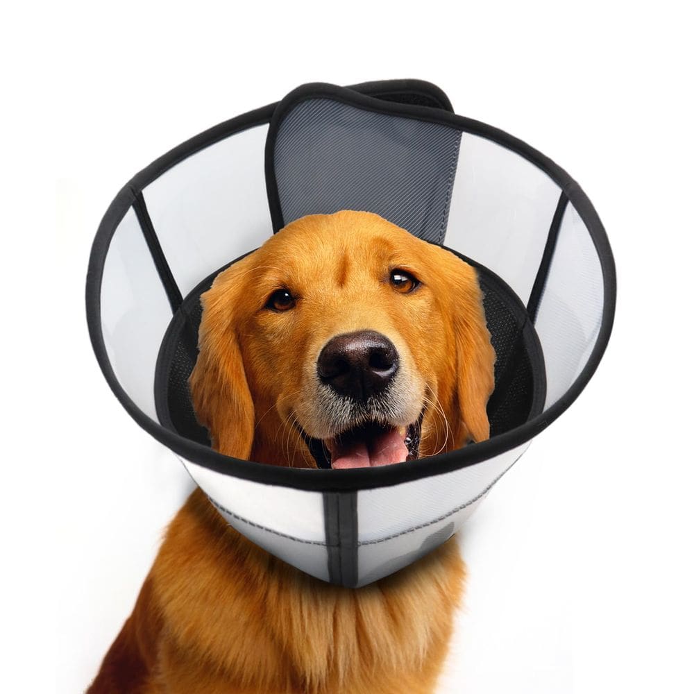 Coleira de cone para cães WinWeal Soft para cães após cirurgia XXL preta