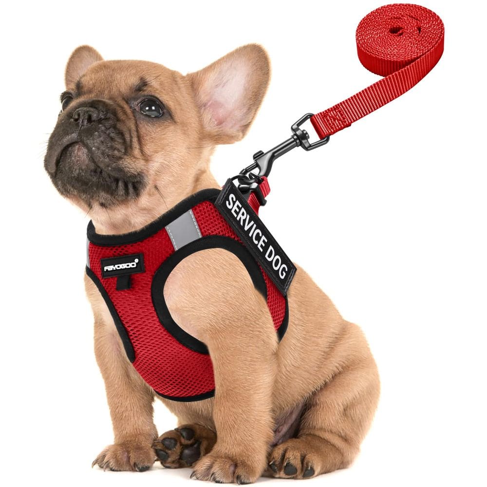 Colete leve para cães de serviço FAYOGOO para raças pequenas com adesivos