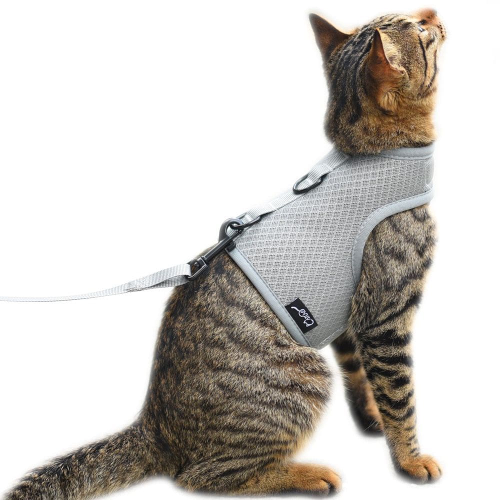 Conjunto de arnês e coleira para gatos YIZHI MIAOW ajustável cinza XXL