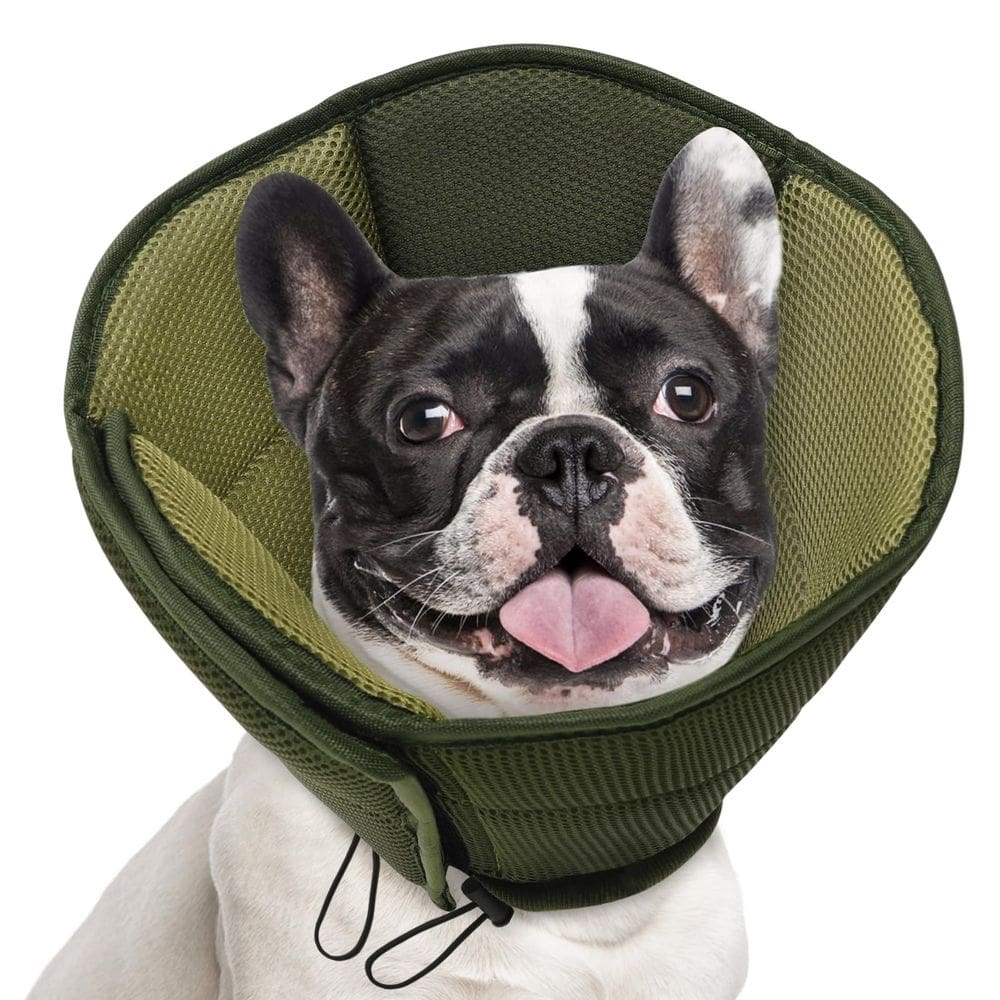 Coleira de cone para cães AOFITEE para cães médios após cirurgia