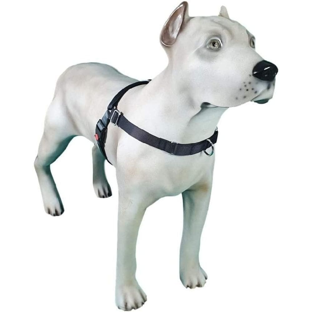 Peitoral De Treinamento K9 P Preto