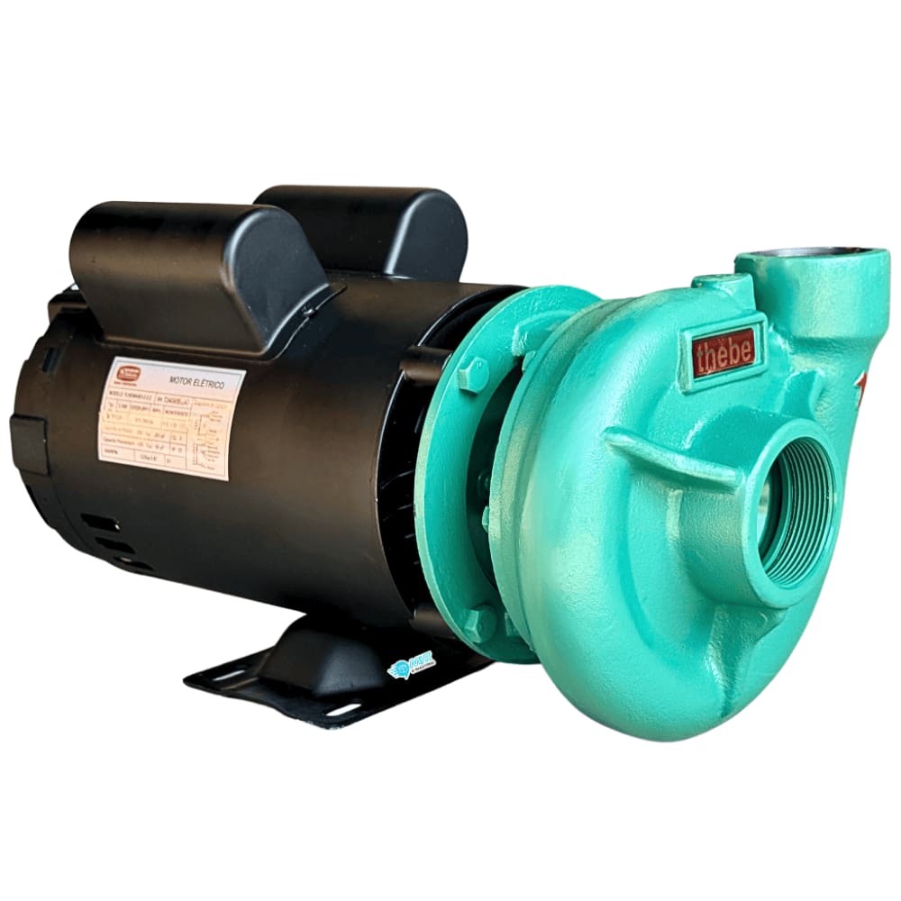 Motobomba Centrífuga Thb-13 3,0 Cv Monofásico 127/220-254v
