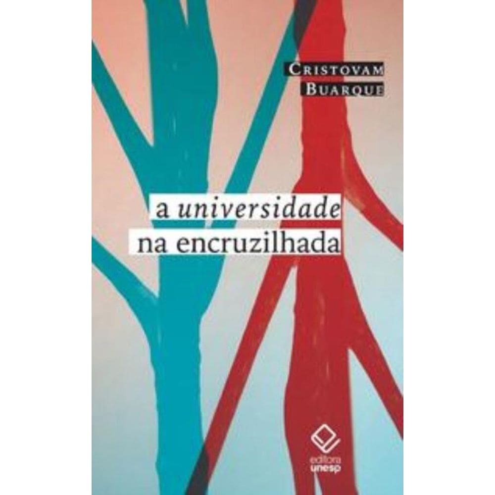 A Universidade Na Encruzilhada