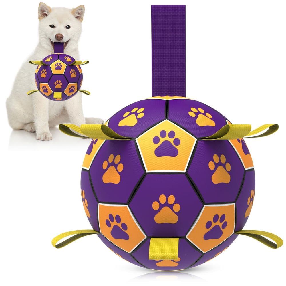 Bola de futebol para cães QDAN durável para raças pequenas e médias