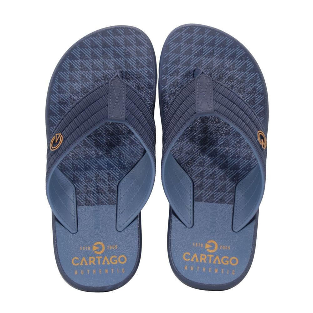 Chinelo Infantil Cartago 12515 Montreal Azul