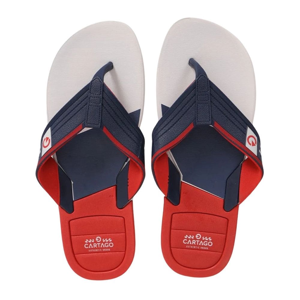 Chinelo Cartago Infantil Dallas Cinza Vermelho Azul