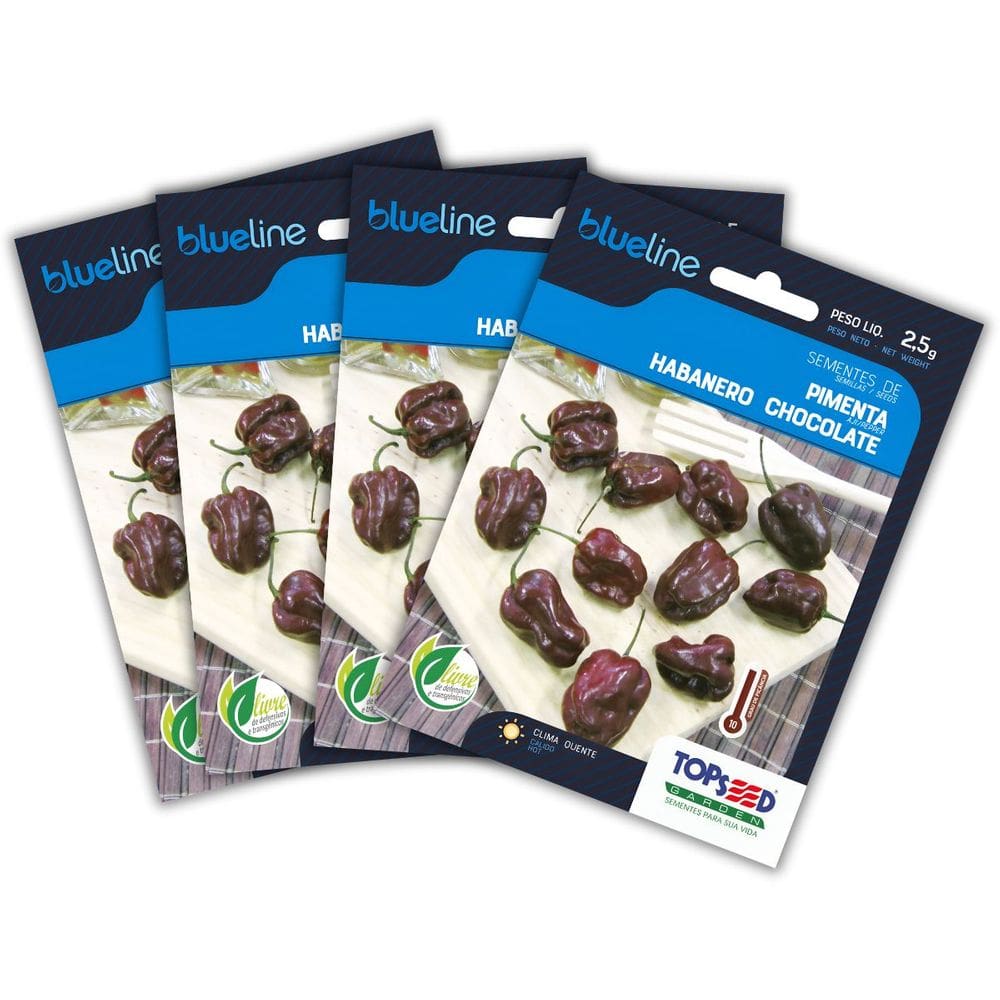 4x Semente de Pimenta Habanero Chocolate Blueline TOPSEED