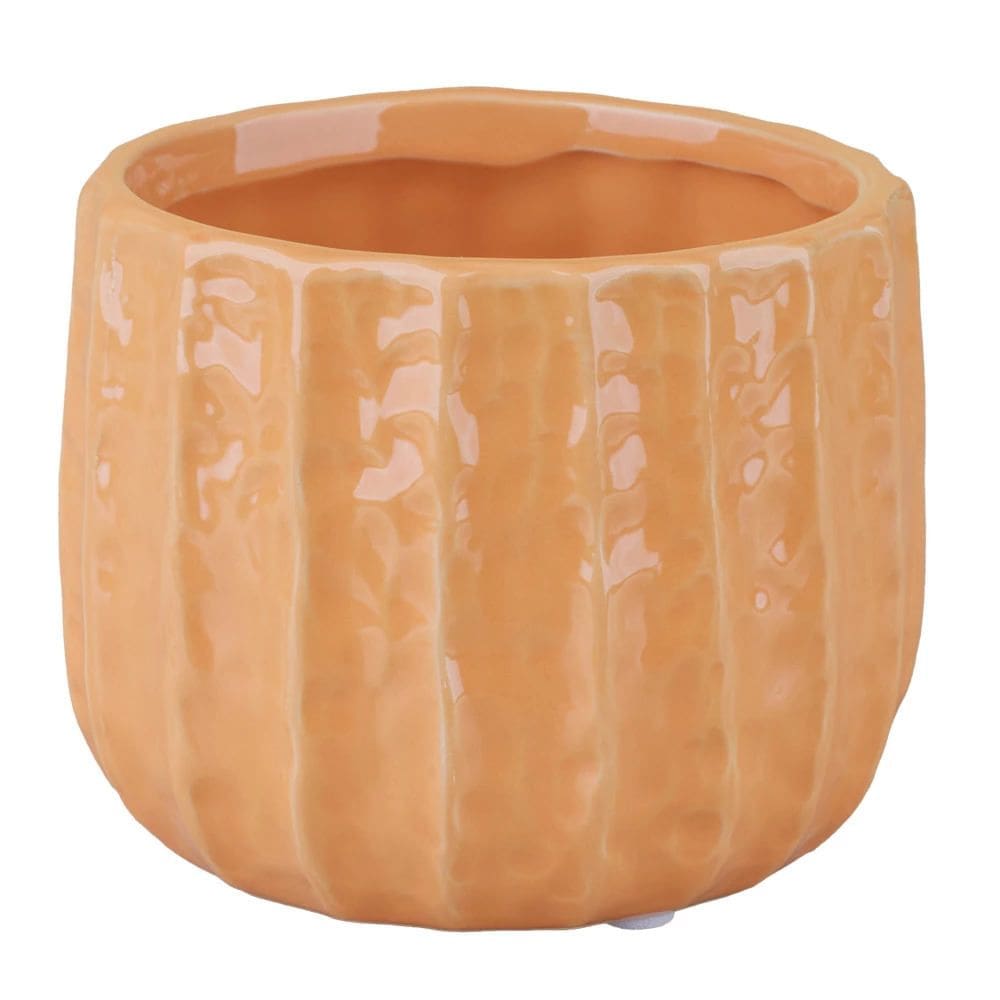 Cachepot Decorativo em Cerâmica Cazza Raizen 9cm