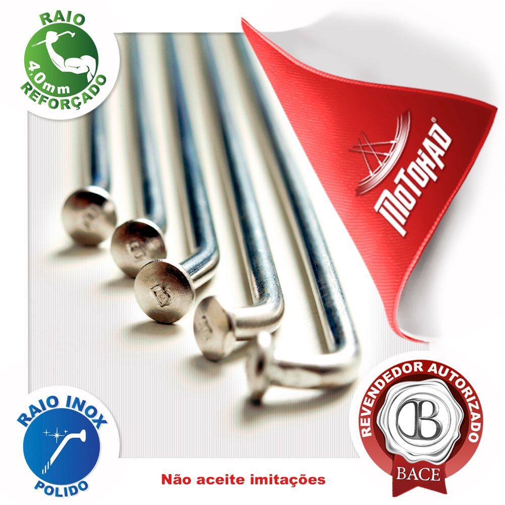 Jogo de Raio Inox Bace Dafra NH 300 Dianteiro 4,0mm