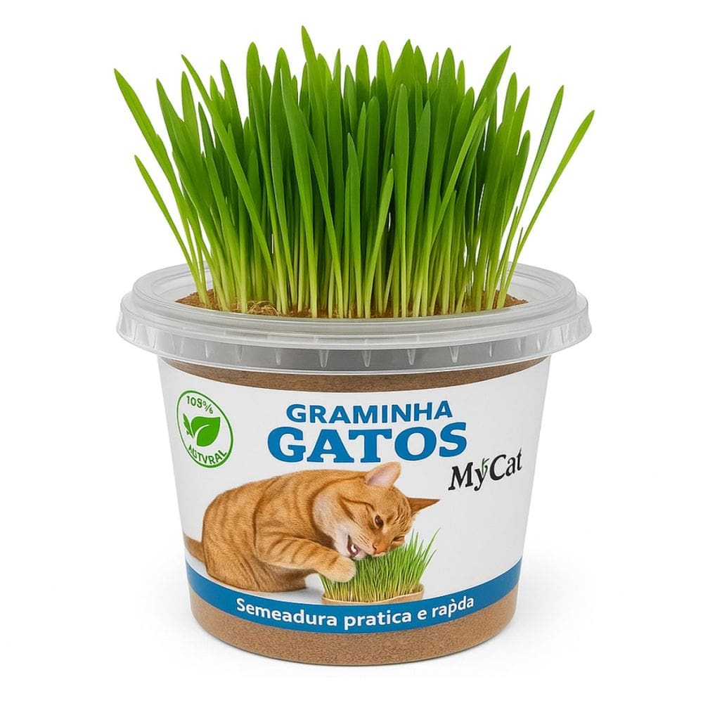 Graminha Para Gatos Gom Sementes Naturais 50g MyCat