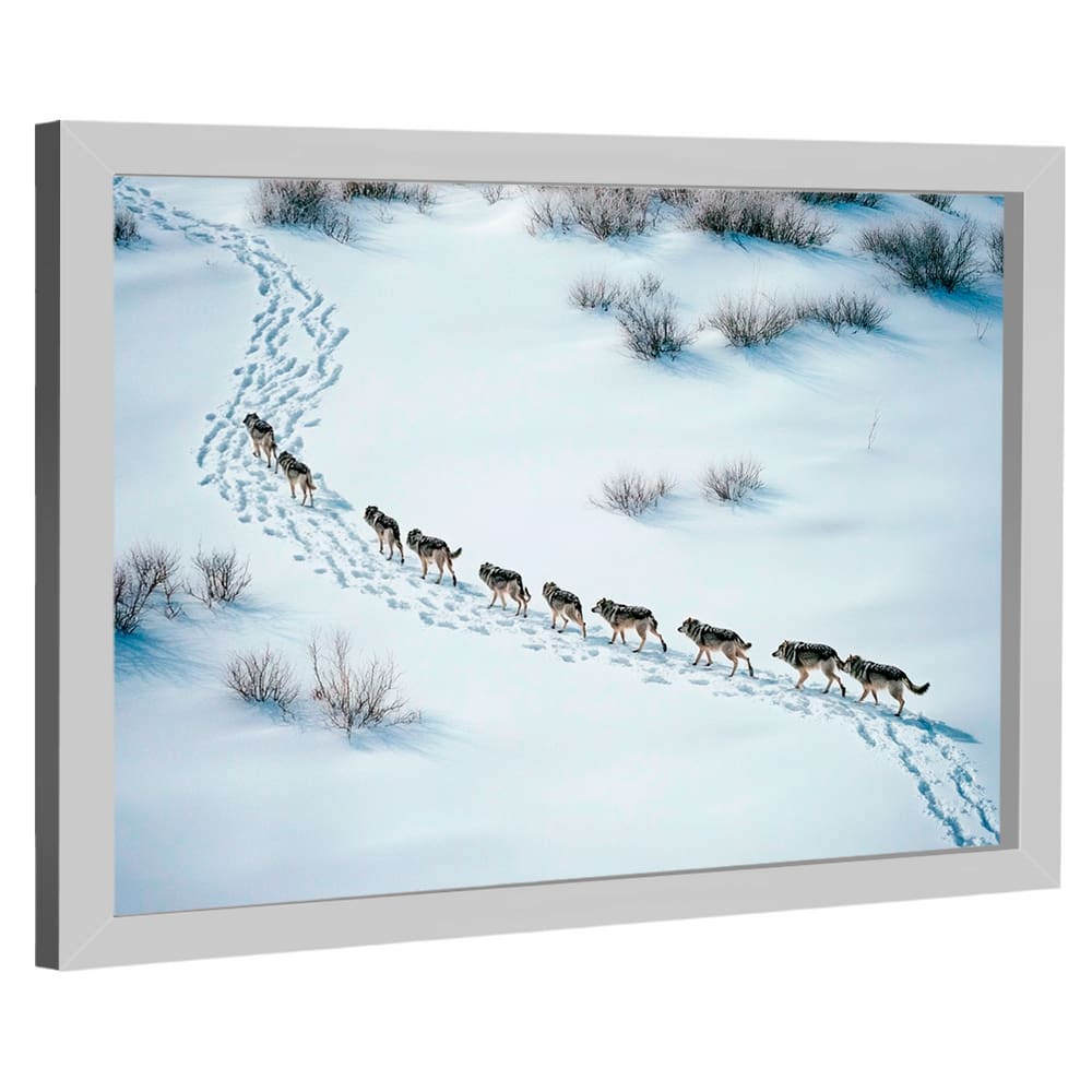 Quadro Decorativo Grande Alcateia
