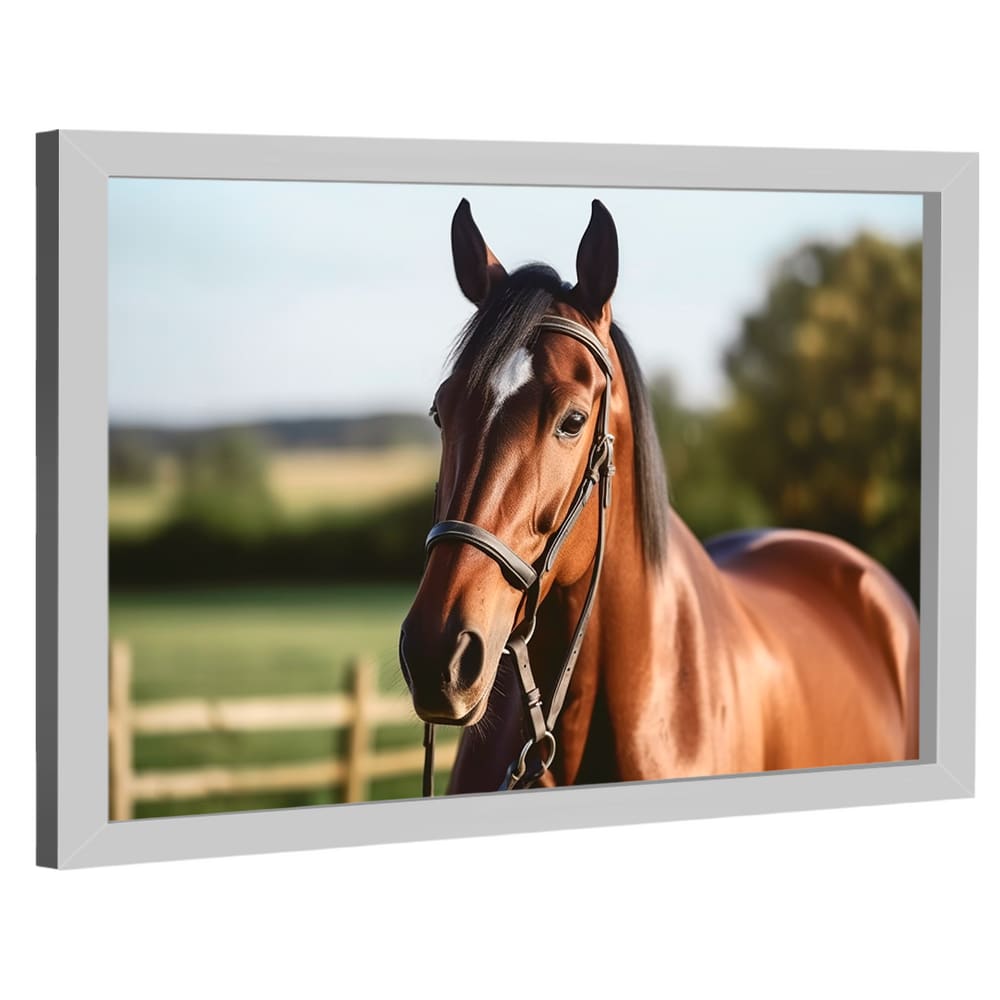 Quadro Decorativo Cavalo no Close
