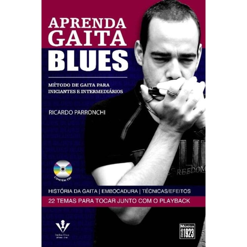 Aprenda Gaita Blues