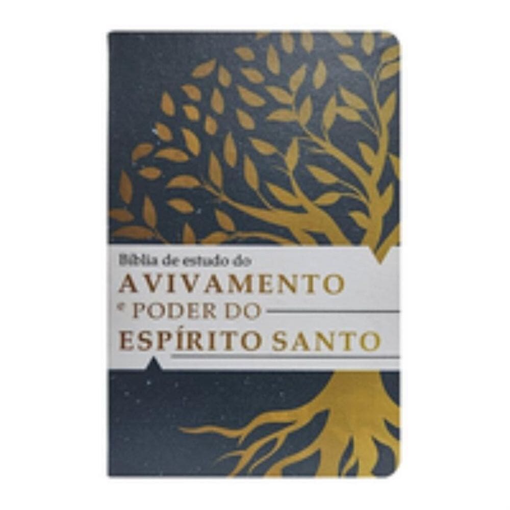 Bíblia de estudo temática do avivamento e o poder do espírito santo ARC - Capa 02