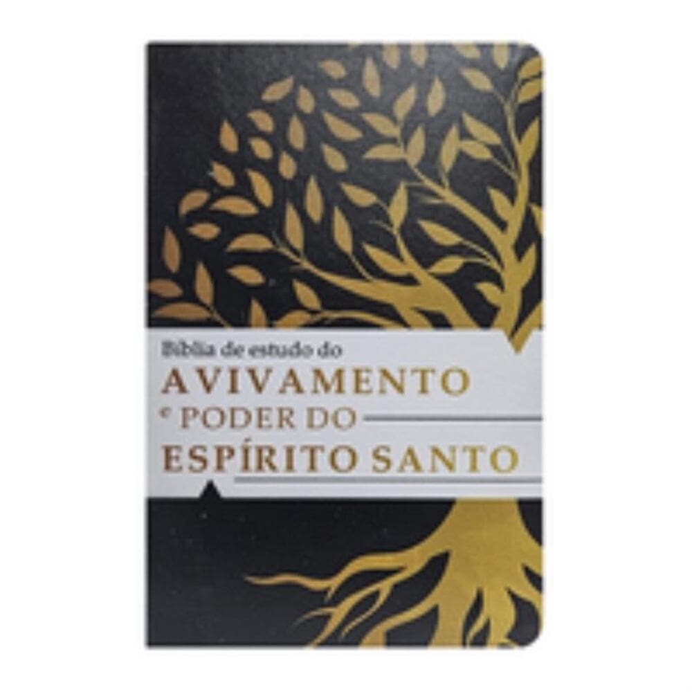 Bíblia de estudo temática do avivamento e o poder do espírito santo ARC - Capa 01