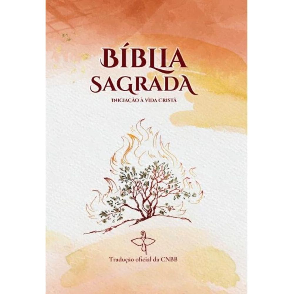 Biblia Sagrada - Iniciação A Vida Cristã - Novo Design