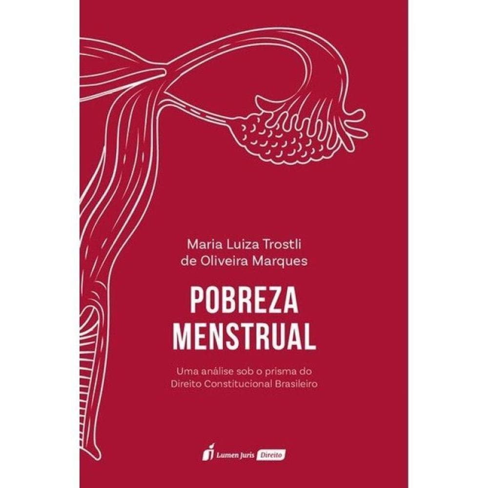 Pobreza Menstrual - 2025