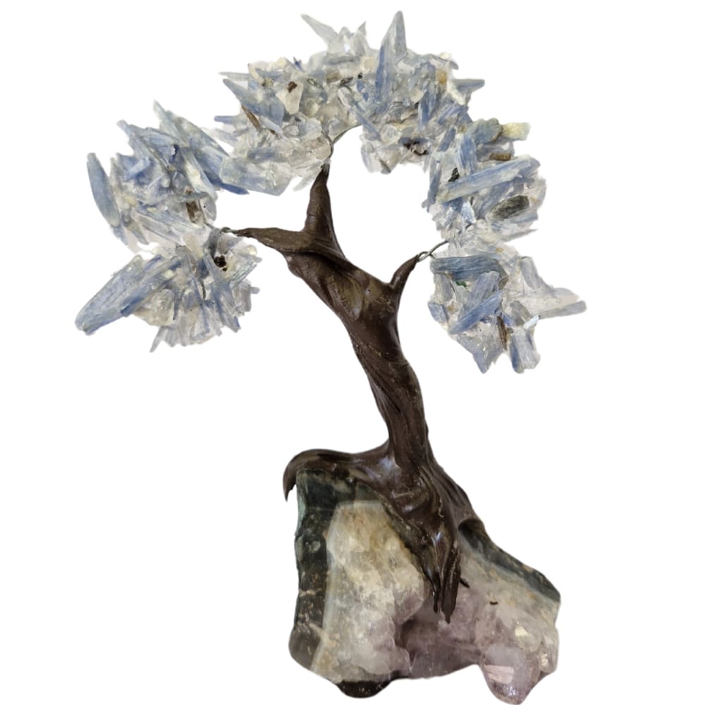 Árvore de Pedra Natural Sodalita Presente e Decoração